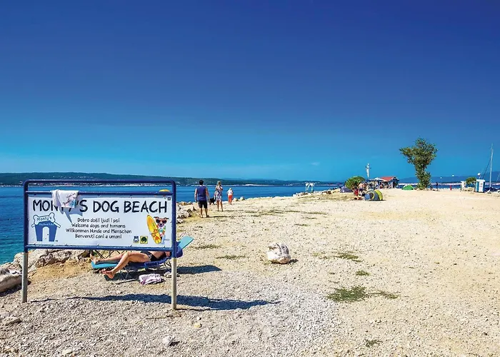 Apartament 3 Bedroom Gorgeous In *